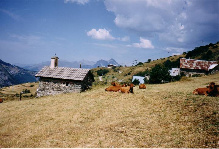 chapelle de Geneuil avec vaches tarines de Benoit Pannetier 